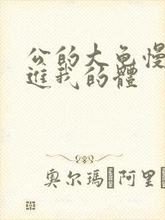 公的大龟慢慢挺进我的体