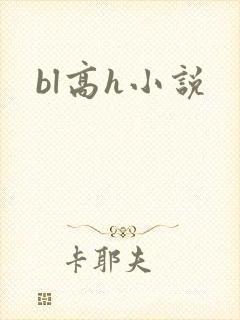 bl高h小说