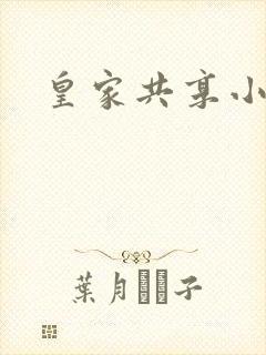 皇家共享小公主封面