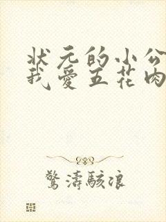 状元的小公主(我爱五花肉)