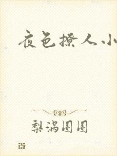 夜色撩人小说