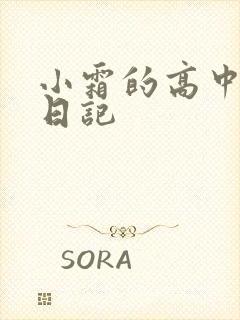 小霜的高中成长日记