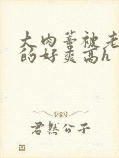 大肉蒂被老头嘬的好爽高h封面