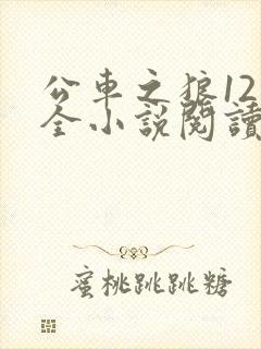 公车之狼12集全小说阅读