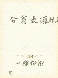 公翁太涨H欲渴