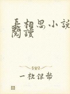 长相思小说免费阅读封面