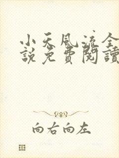 小天风流全集小说免费阅读