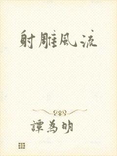 射雕风流