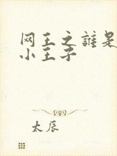 网王之谁是我的小王子