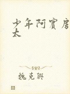 少年阿宾房东太太