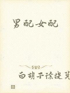 男配女配封面