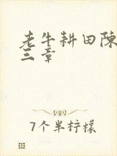 老牛耕田陈雪第三章