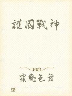 护国战神