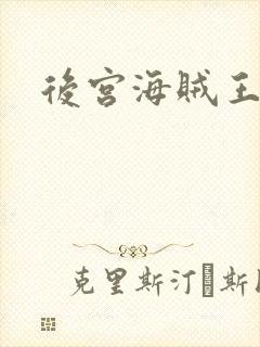 后宫海贼王