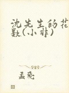 沈先生的花式调数(小非)