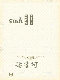 smhС˵封面