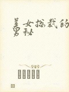 美女总裁的贴身男秘封面