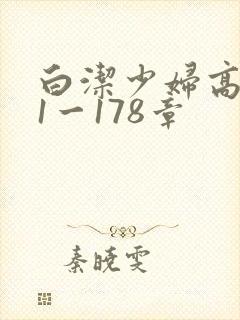 白洁少妇高义第1一178章