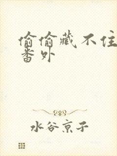 偷偷藏不住新婚番外