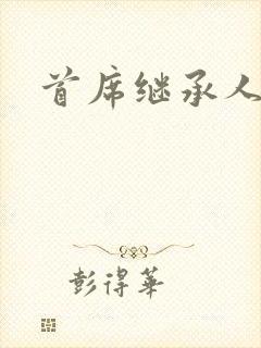 首席继承人封面