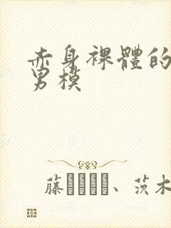 赤身裸体的大鸟男模