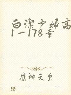 白洁少妇高义第1一178章封面