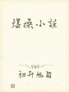 爆操小说