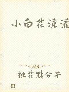 小白花浇灌日常封面