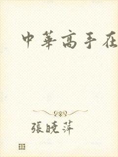 中华高手在异世