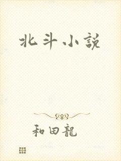 北斗小说