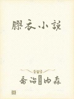 胶衣小说
