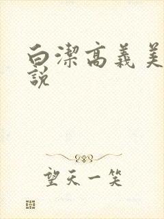 白洁高义美红小说