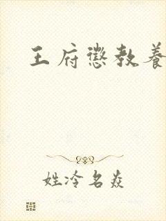 王府惩教养日常