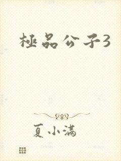 极品公子3