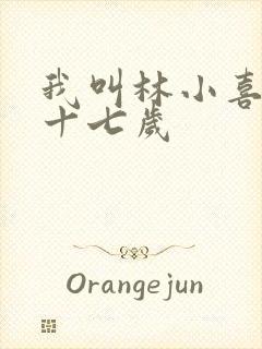 我叫林小喜今年十七岁