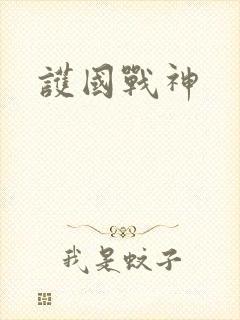 护国战神