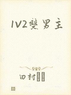 1V2双男主