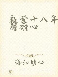 敌营十八年2虎胆雄心封面