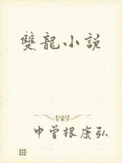 双龙小说封面