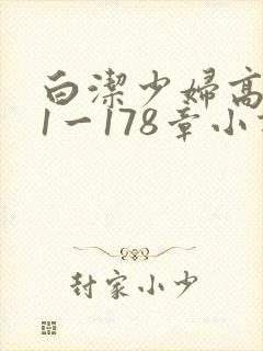 白洁少妇高义第1一178章小说