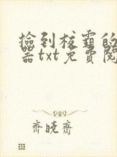 捡到校霸的遥控器txt免费阅读封面