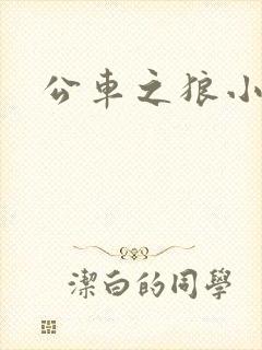 公车之狼小说