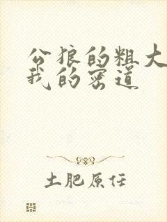 公狼的粗大挺进我的密道