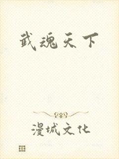 武魂天下