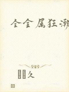 全金属狂潮小说