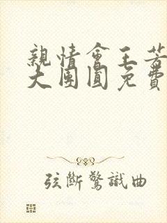 亲情会王芳高敏大团圆免费阅读