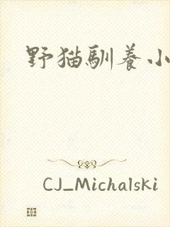 野猫驯养小说