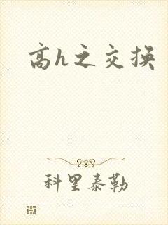高h之交换封面