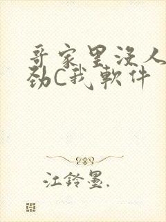 哥家里没人使点劲C我软件