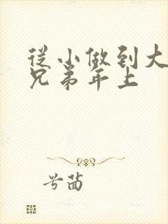 从小做到大骨科兄弟年上